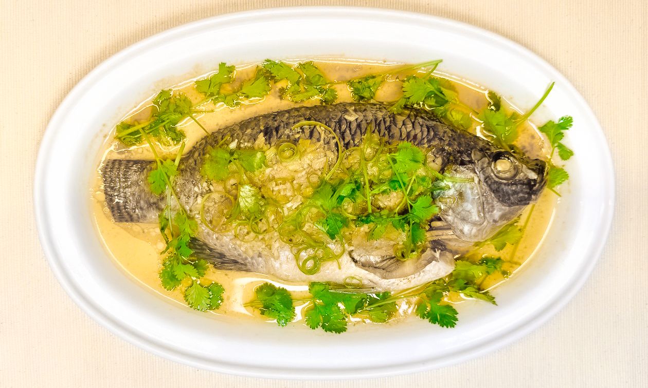 Ginger-Scallion Steamed Tilapia